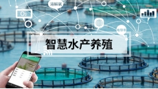 智慧水产养殖解决方案