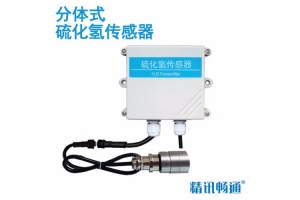 分体式硫化氢传感器