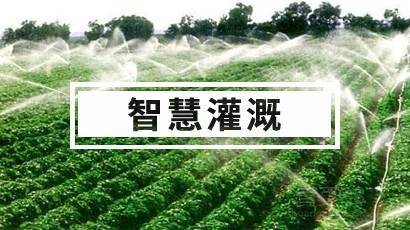 智慧灌溉解决方案 水肥一体化 自动灌溉系统